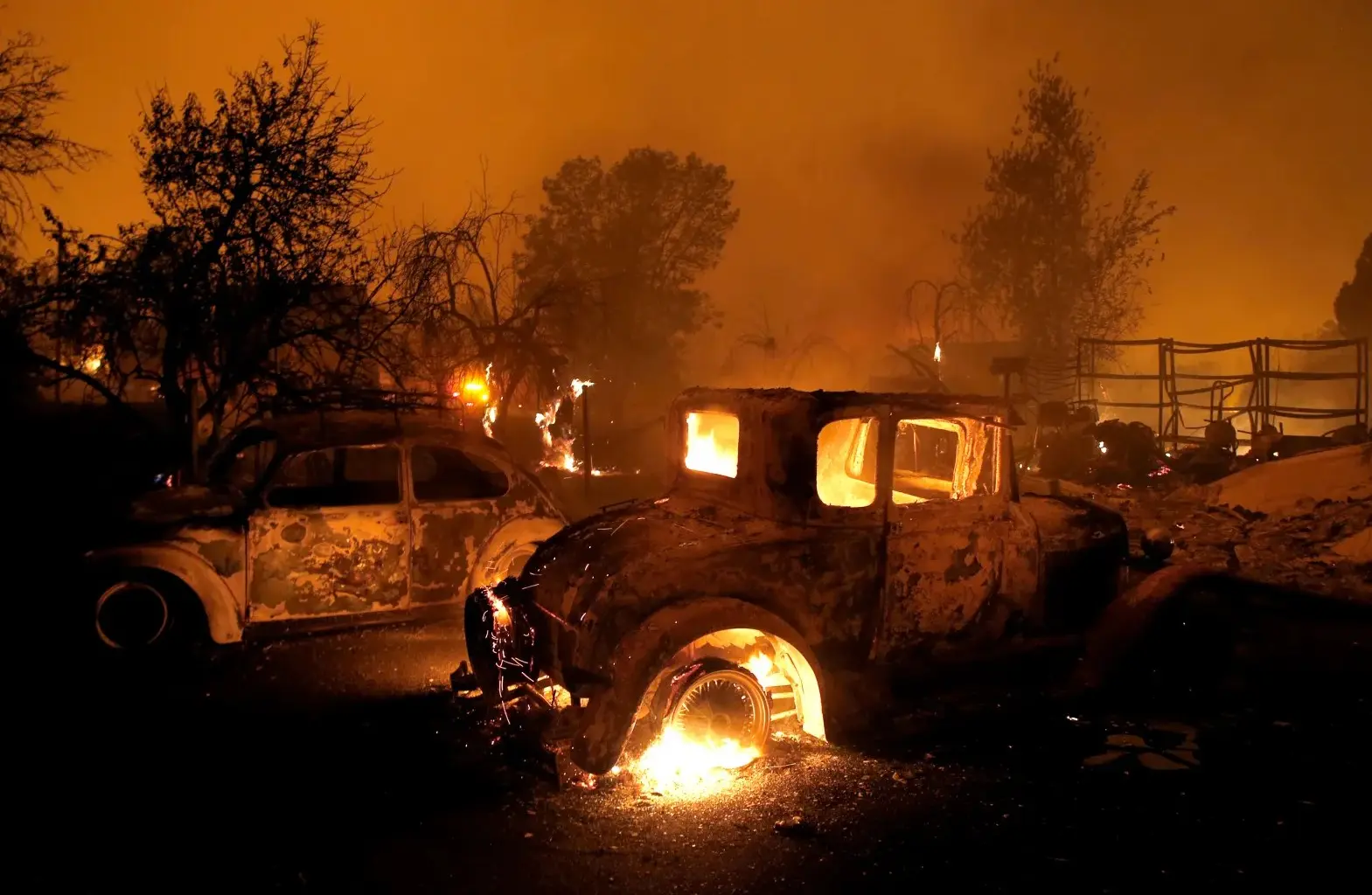 High fire-risk California homes must limit trees, plants, fences under new 'Zone 0' rules
