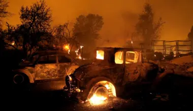 High fire-risk California homes must limit trees, plants, fences under new 'Zone 0' rules