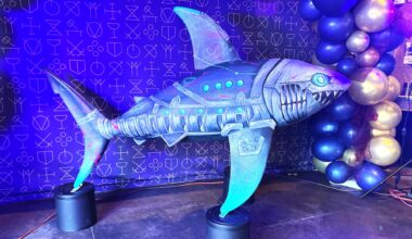Downtown San Jose’s coolest new shark isn’t named Celebrini – East Bay Times