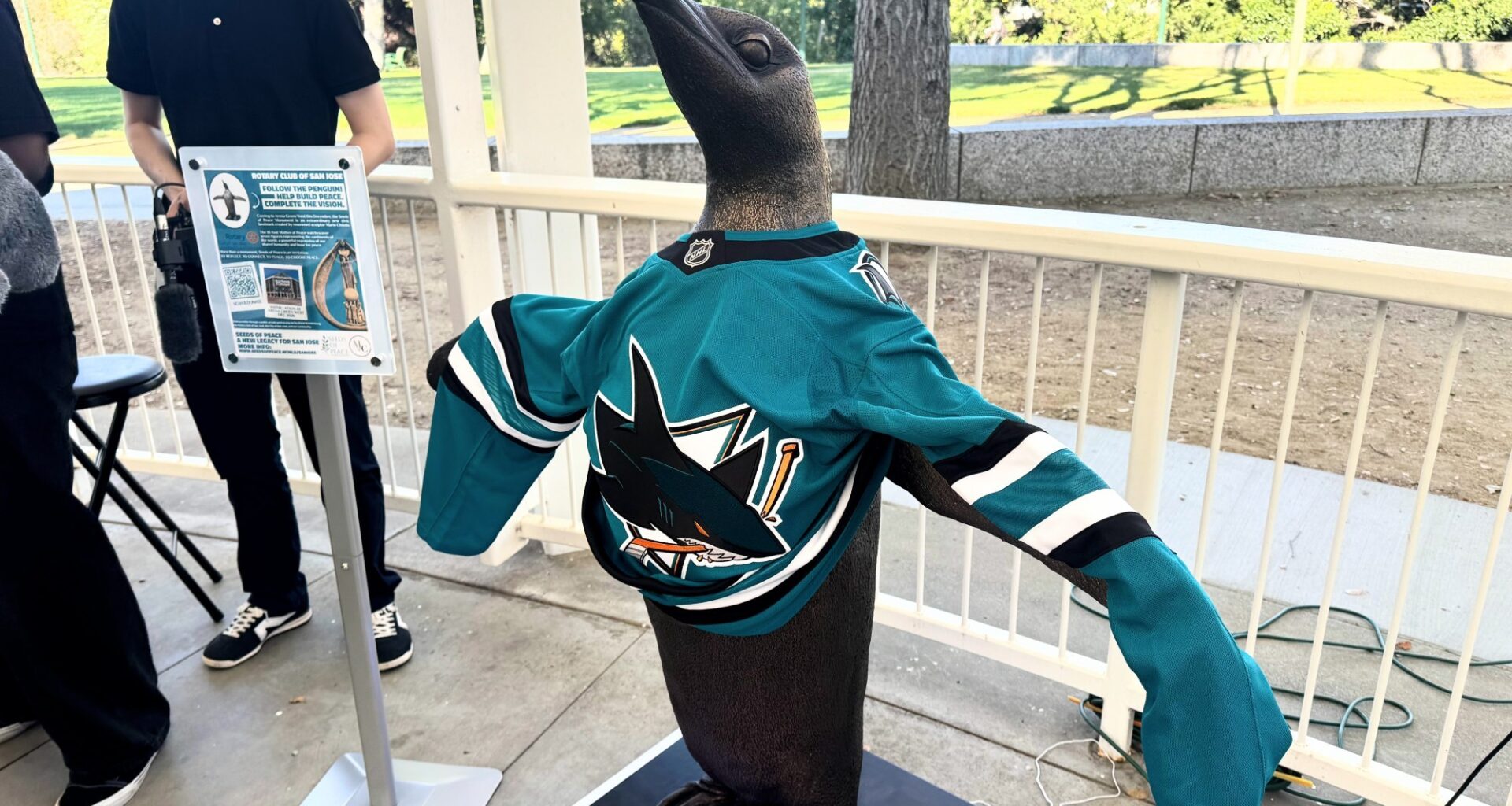 'Seeds of Peace' penguin on a fundraising mission in San Jose