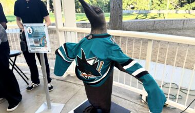 'Seeds of Peace' penguin on a fundraising mission in San Jose