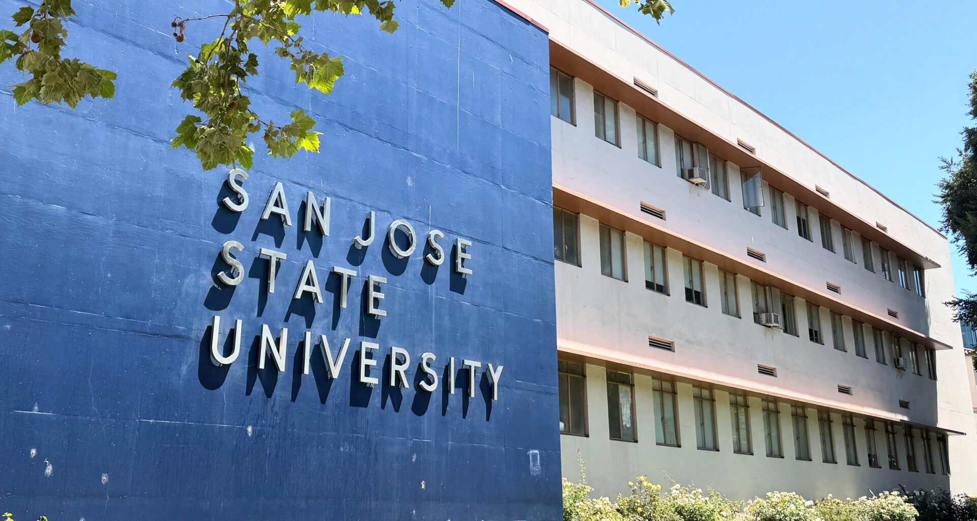 Department of Education launches probe into antisemitism at San Jose State, SF State – The Mercury News