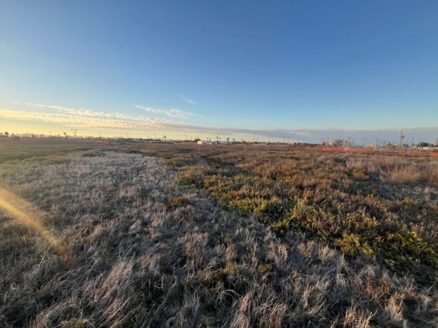 The second Southern California site the Paytan Lab will monitor is Los Cerritos Wetlands, which is in the beginning stages of restoration. (Courtesy of Adina Paytan, photo by Marco Montemayor)