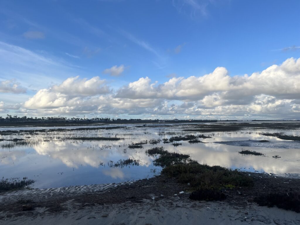 UC Santa Cruz researchers to study Southern California wetlands – Santa Cruz Sentinel