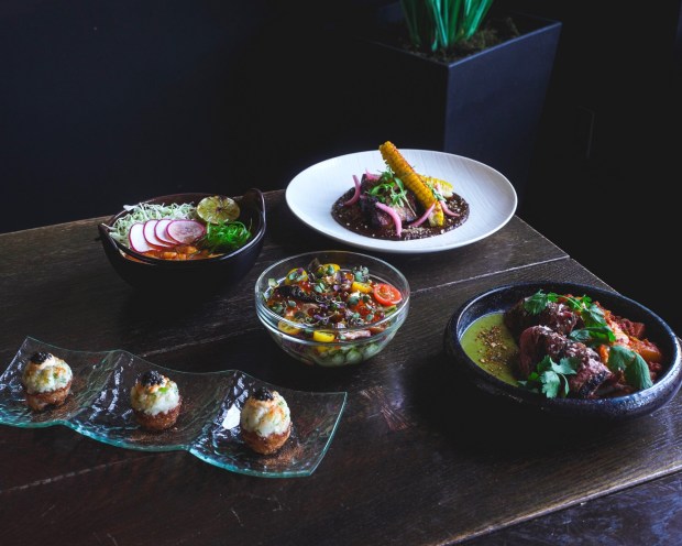 A multicourse meal at Cloak & Petal restaurant in Little Italy. (Klifton Semo)