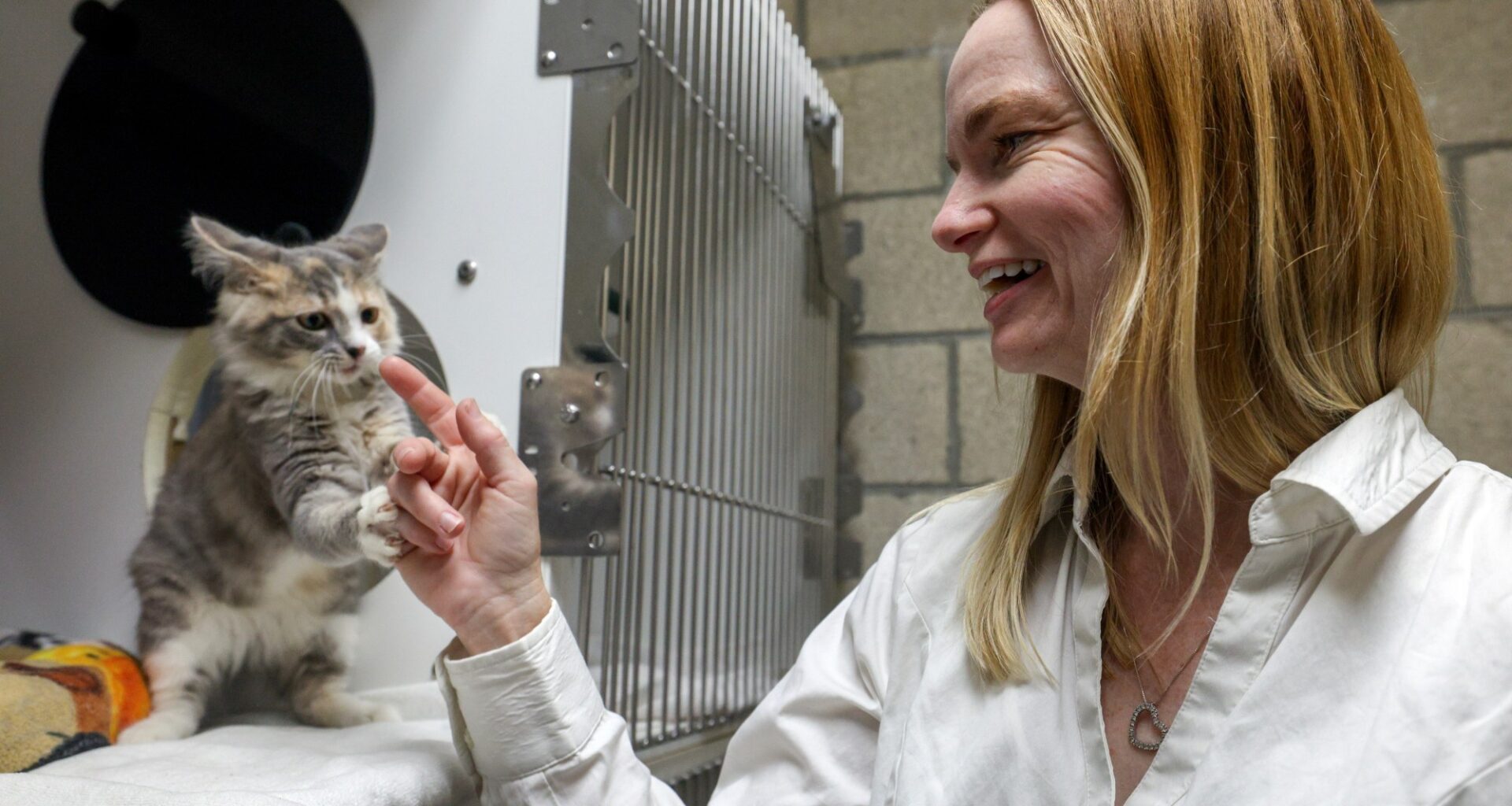 New county animal services director faces agency hit by lawsuits, turnover