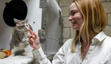 New county animal services director faces agency hit by lawsuits, turnover