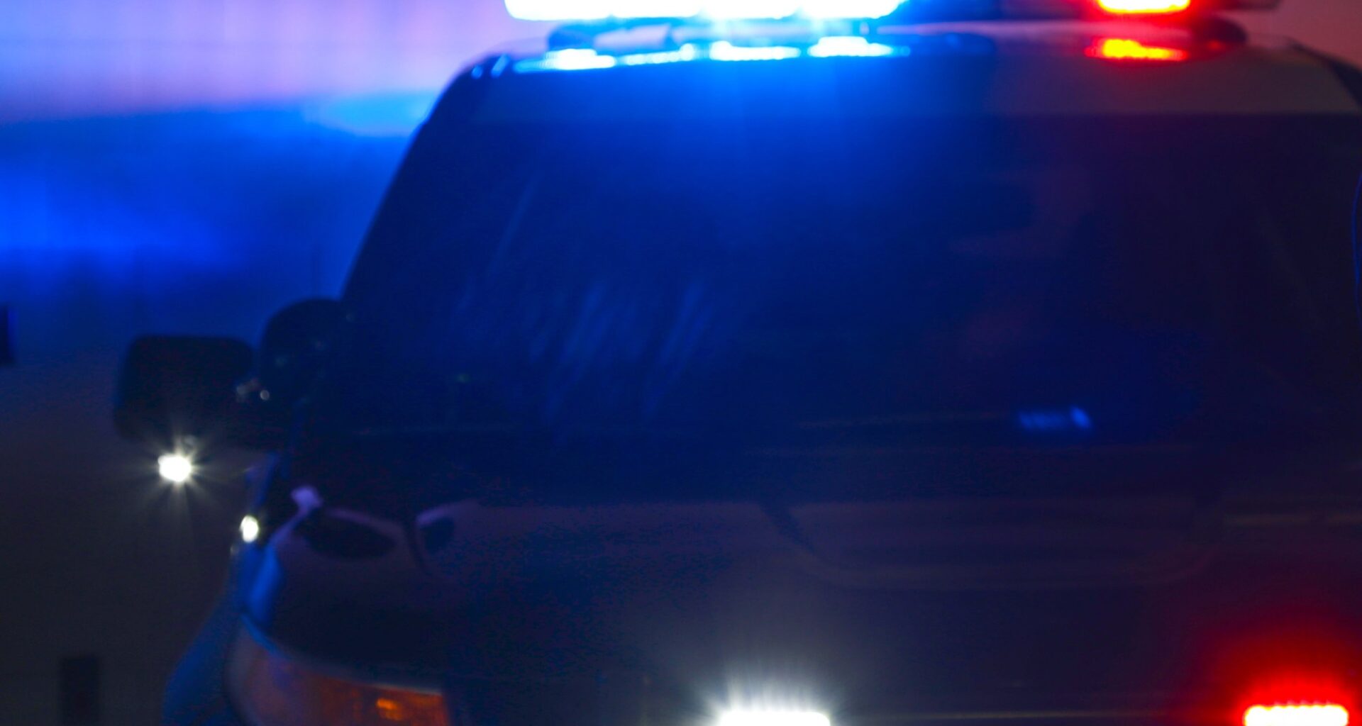 Human skeletal remains found in South San Jose