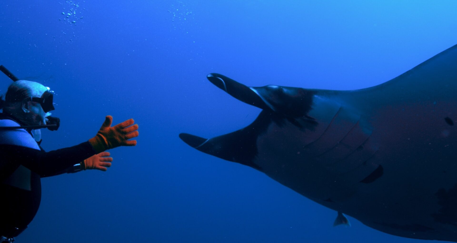 ‘The Last Dive’ brings a friendship between a man and a manta ray to San Diego screens – San Diego Union-Tribune