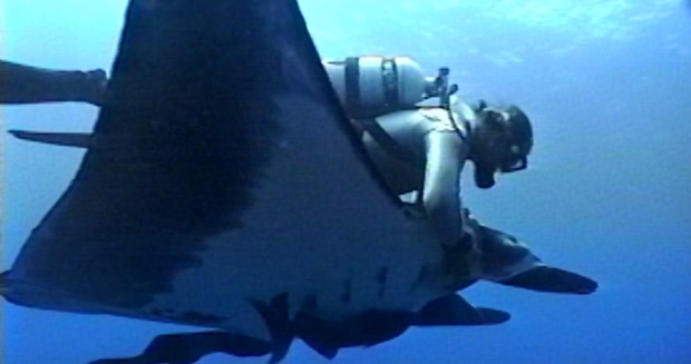A still image from archival 1970s and '80s footage shows Terry Kennedy riding a manta ray near Isla San Benedicto. (Joyce Clinton)
