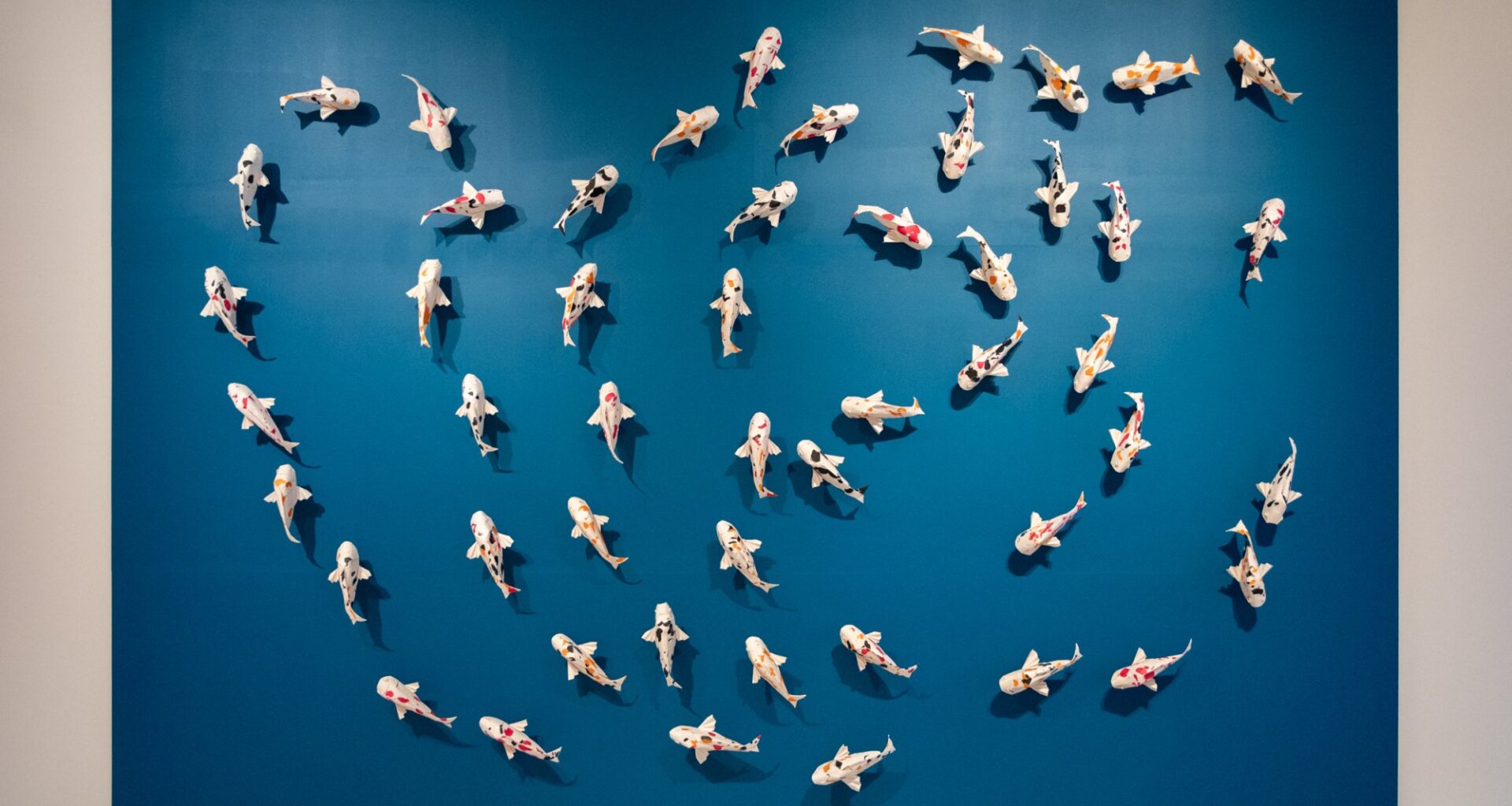 In the Curator’s Words: Mingei explores the connection between people and fish – San Diego Union-Tribune