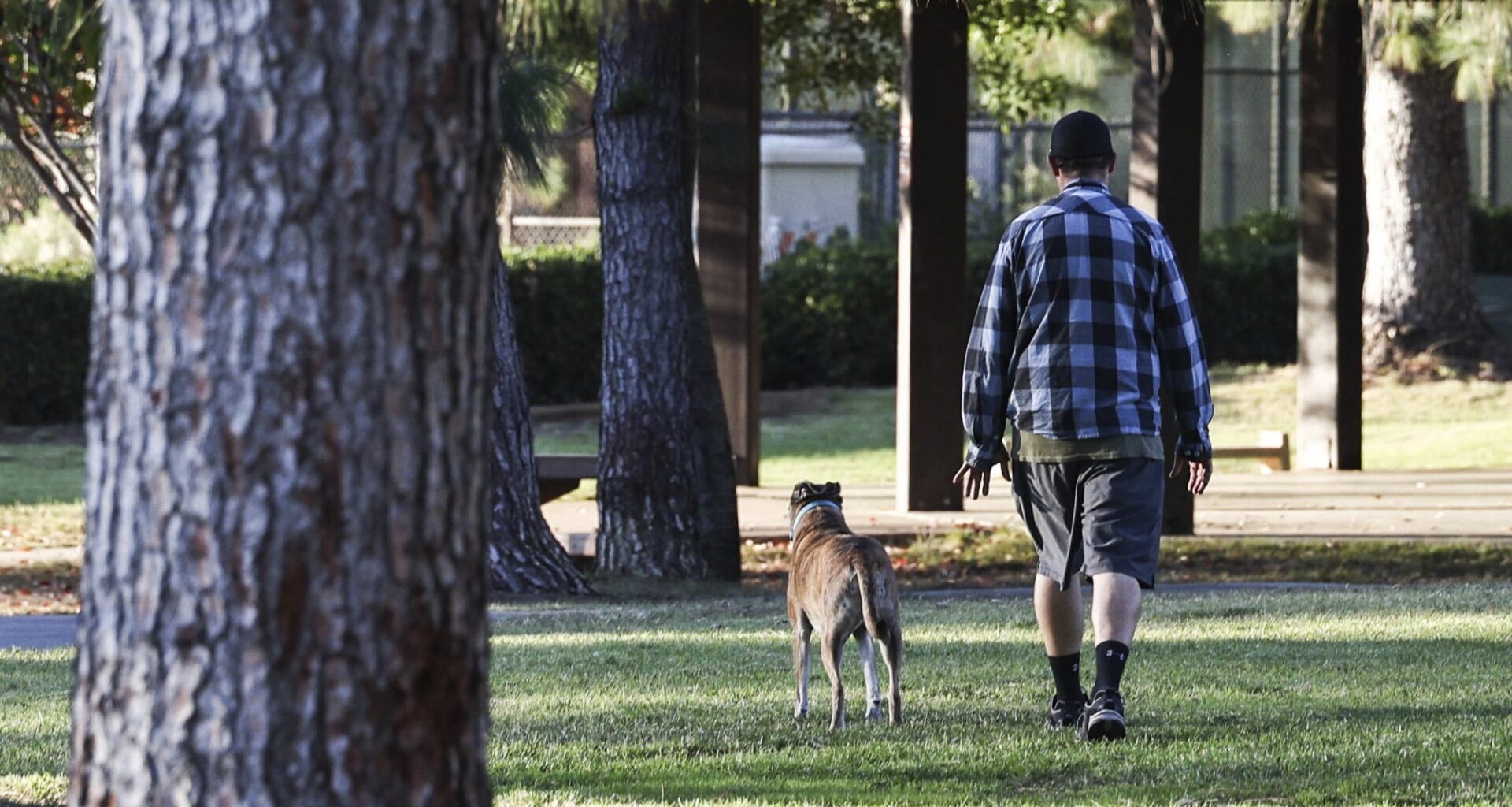 Have a gripe about San Diego’s city services? You’ll soon have new ways to complain – San Diego Union-Tribune