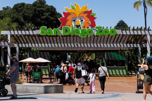 The entrance to the San Diego Zoo in San Diego on Thursday, July 23, 2026. (Kristian Carreon / The San Diego Union-Tribune)