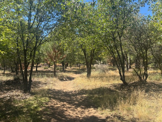 The beginning of the Red Tail Roost Trail, heading west. (Maura Fox / The San Diego Union-Tribune)