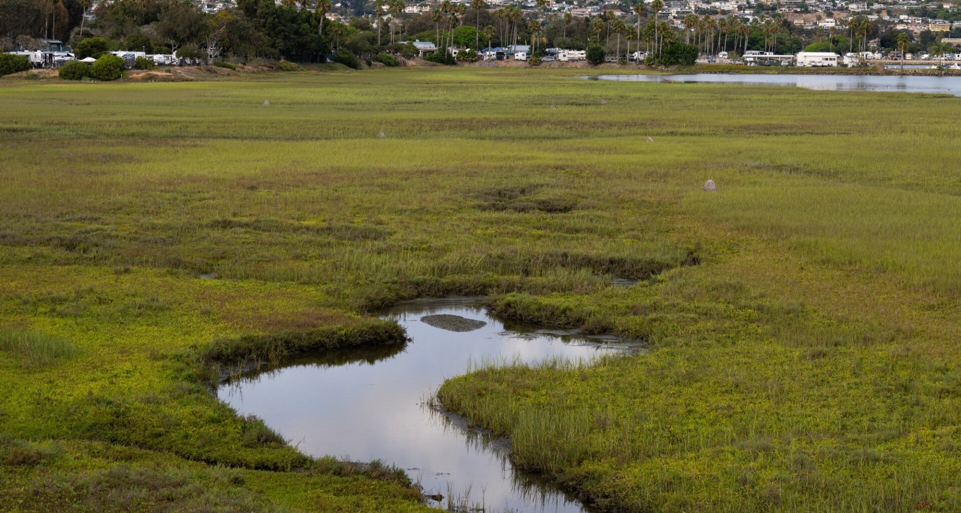 After years in limbo, San Diego’s sweeping plan to remake much of Mission Bay gets state signoff — with some changes – San Diego Union-Tribune