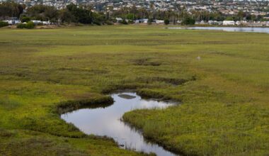 After years in limbo, San Diego’s sweeping plan to remake much of Mission Bay gets state signoff — with some changes – San Diego Union-Tribune