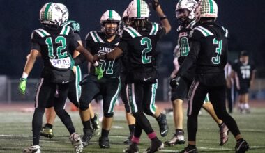 Metro Conference includes South Bay's best in high school football