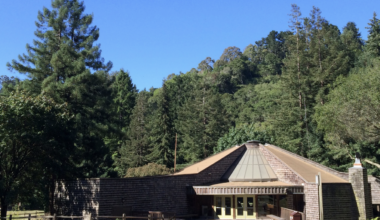 Rebuild stalled of visitor center next to Tilden’s Little Farm