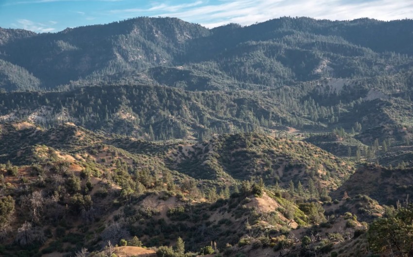 Feds Moving at Full Throttle to Reverse Roadless Rule Protecting National Forests