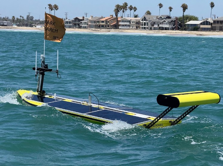 California scientists build robot to look for great white sharks near beaches