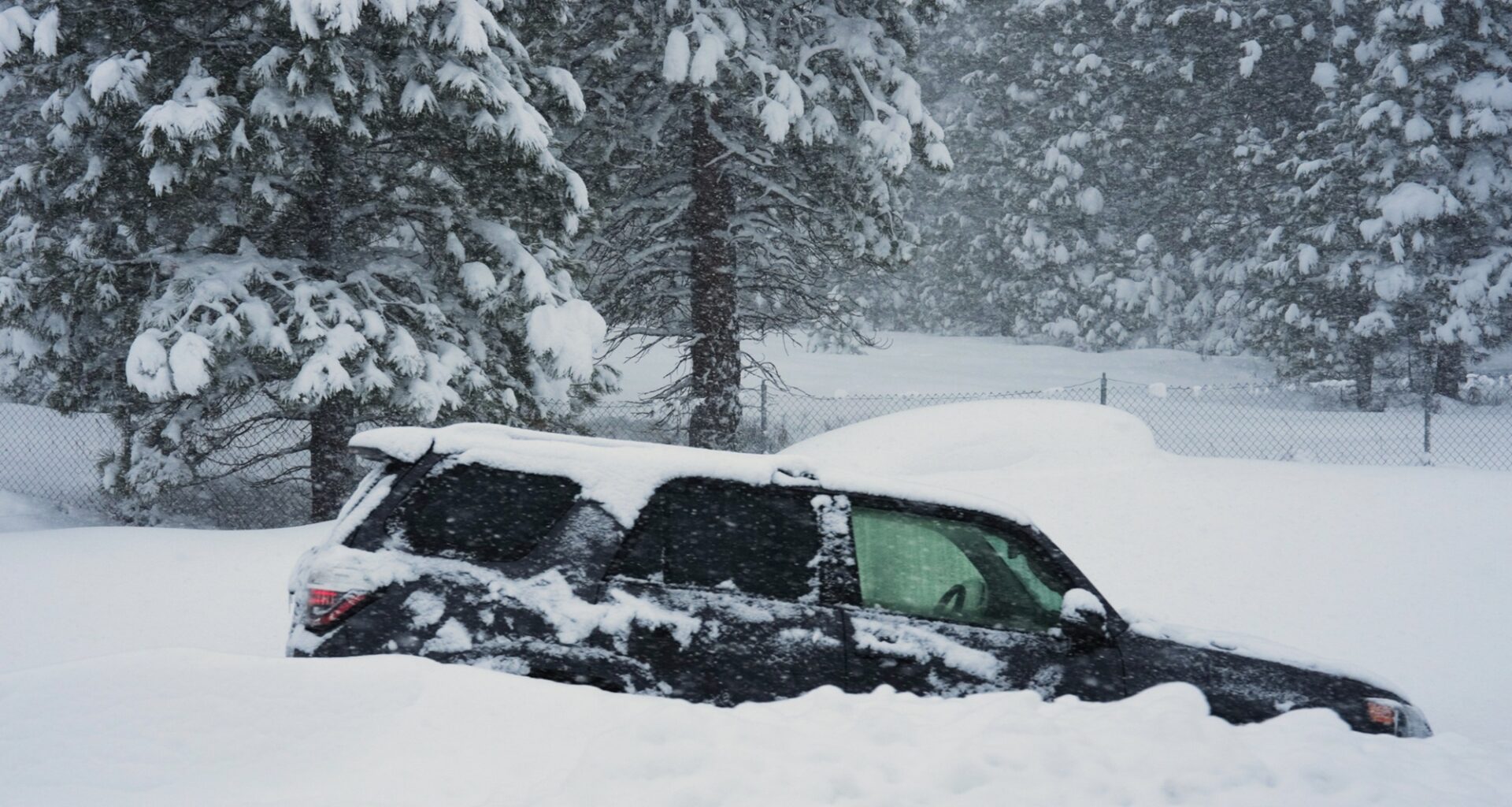 Guiding Company Fined by California for Tahoe Avalanche Deaths