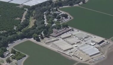 South Bay leaders seek to restrict private detention centers – NBC Bay Area