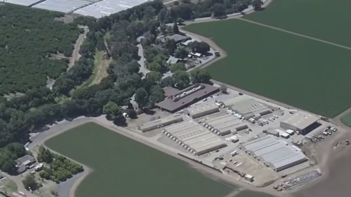 South Bay leaders seek to restrict private detention centers – NBC Bay Area