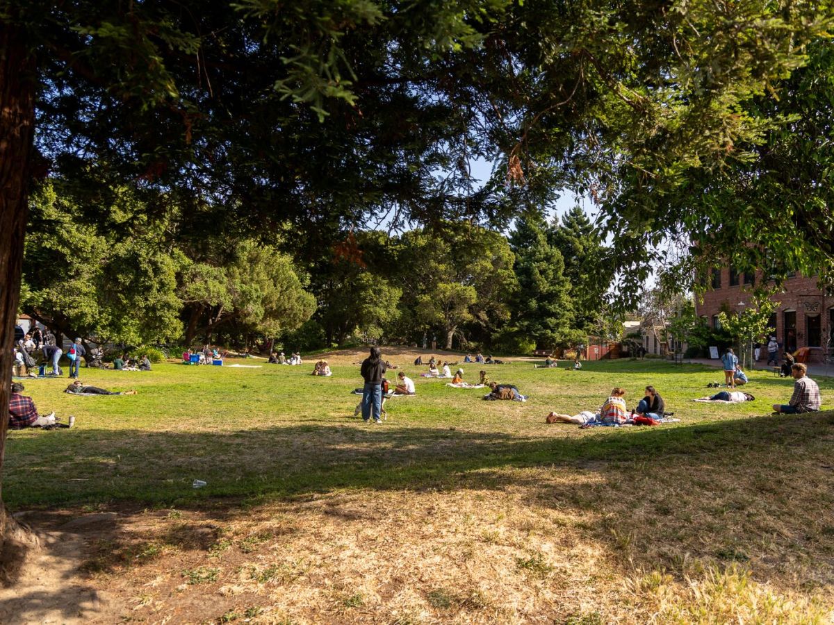 Strawberry Creek Park is West Berkeley’s hidden gem to picnic, sunbathe and splash