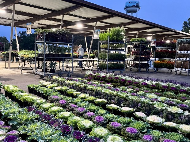 Oakland County Farmers Market, Sept. 2025. (Peg McNichol/MediaNews Group)