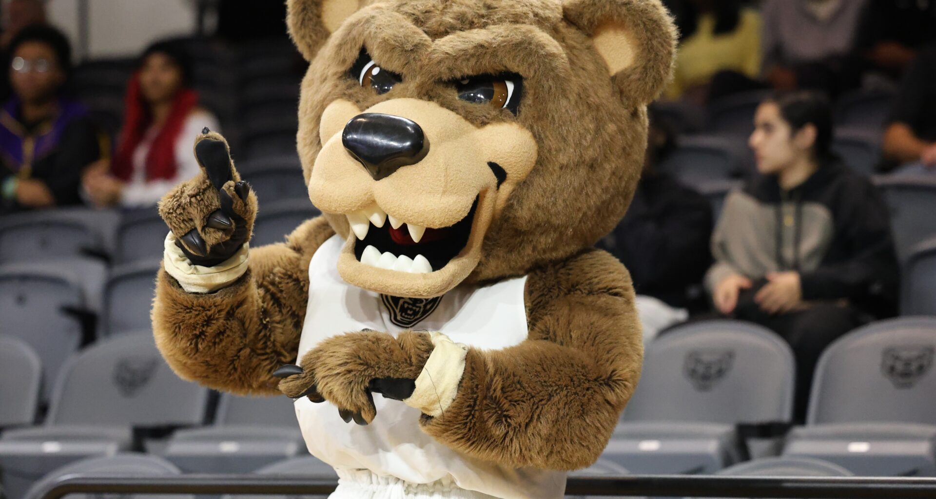 Oakland U women’s basketball promotes Chamissa Anderson to associate head coach – The Oakland Press