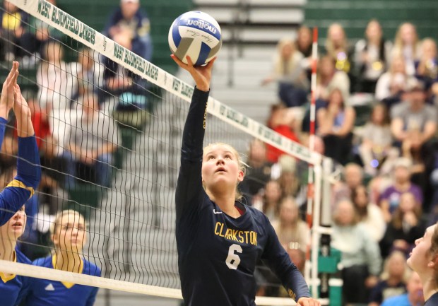 Volleyball player