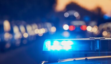 2 dead, 2 injured in Oak Park shooting – The Oakland Press