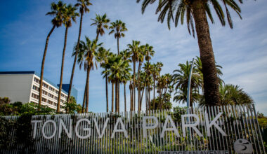 10 Things To Do For This Saturday in L.A. [8-8-2026]