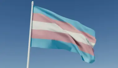 California Police Search and Arrest People Perceived as Transgender at Higher Rates, Study Finds