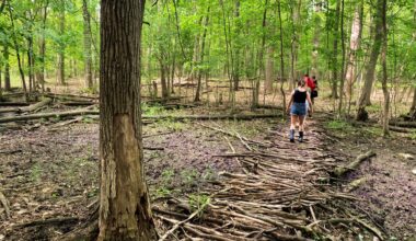 New county park in Troy on track for 2027 opening – The Oakland Press