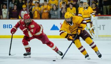 Ducks Acquire Cruz Lucius From Penguins – Pro Hockey Rumors