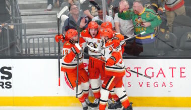 2026-27 Anaheim Ducks Season Preview