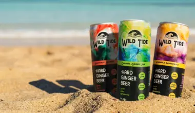 San Diego-based Wild Tide Launches Innovative Hard Ginger Beer — Here's Where to Try It