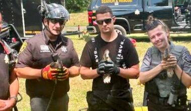 WHMI 93.5 Local News : Oakland County Sheriff's Deputies Rescue Trapped Baby Ducks