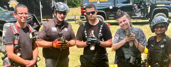 WHMI 93.5 Local News : Oakland County Sheriff's Deputies Rescue Trapped Baby Ducks
