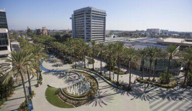 A view of a landscaped plaza with palm trees and a fountain, surrounded by modern buildings.