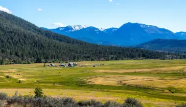 A 14,000-Acre Northern California Ranch Will Be Opened for Public Recreation