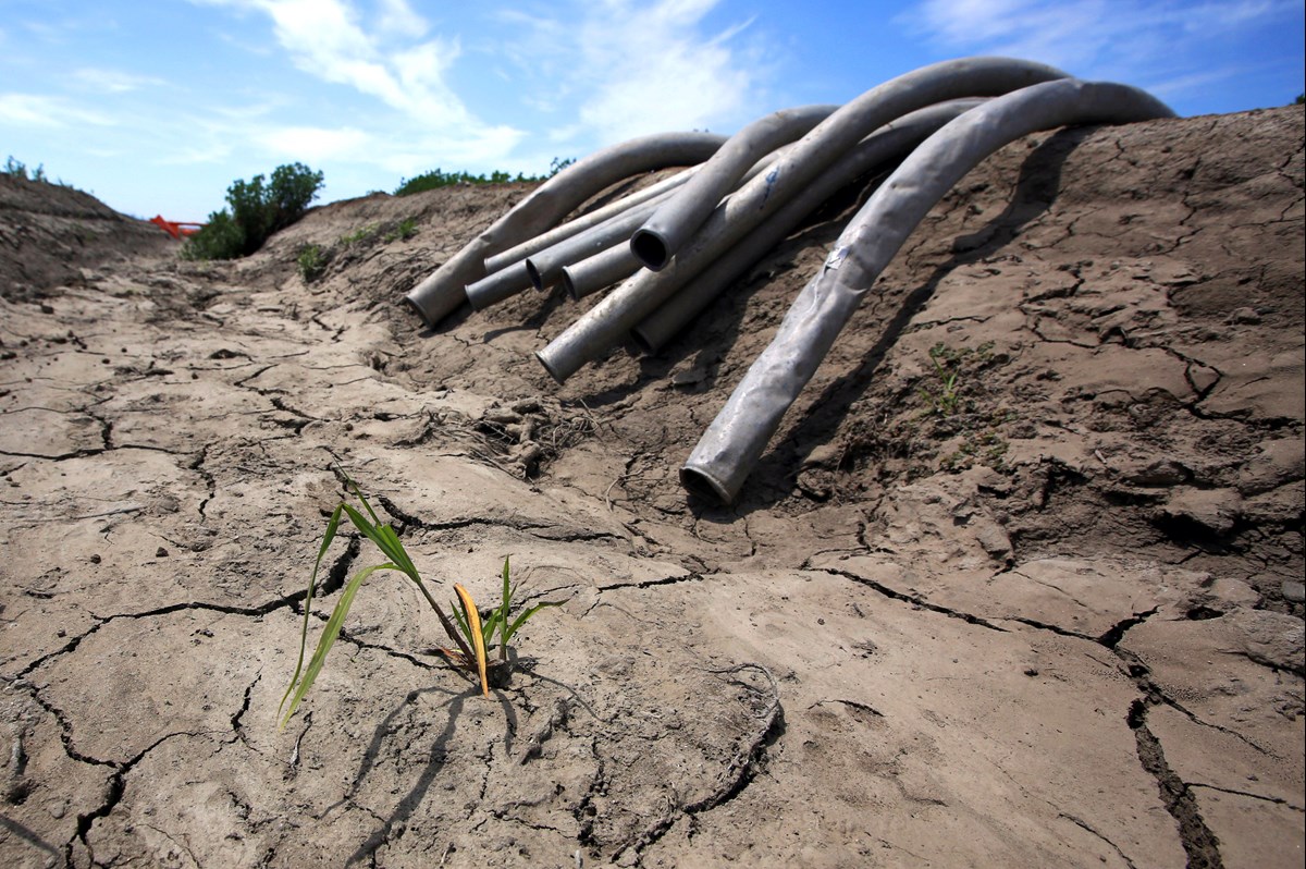 This May 18, 2015 file photo shows irrigation pipes along a dry irrigation canal on a field near Stockton, Calif.