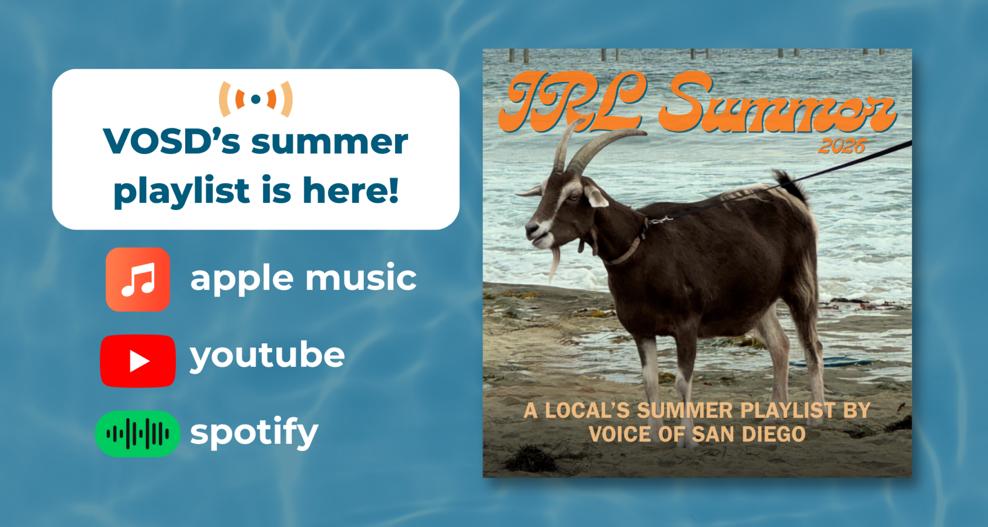 'IRL Summer' Is Here. Check out Voice of San Diego's Playlist of Local Artists