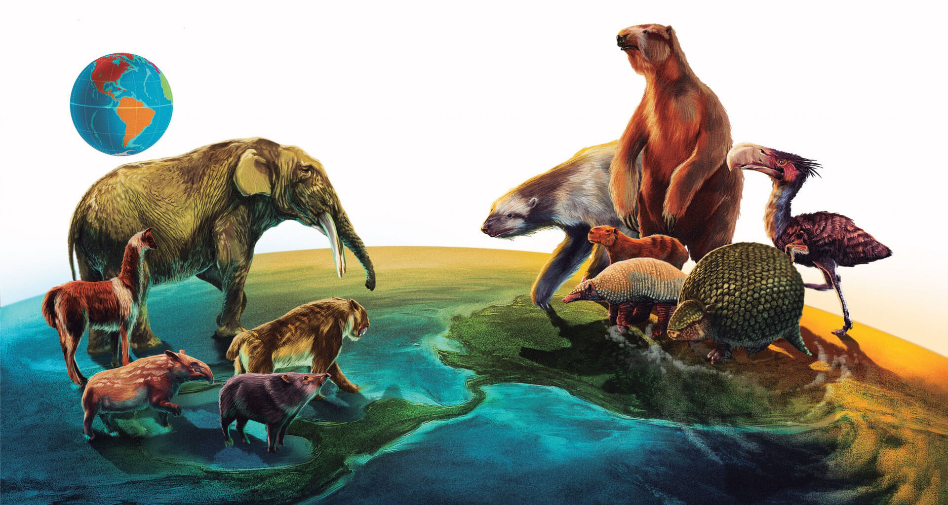 two groups of animals standing on miniature representations of North and South America