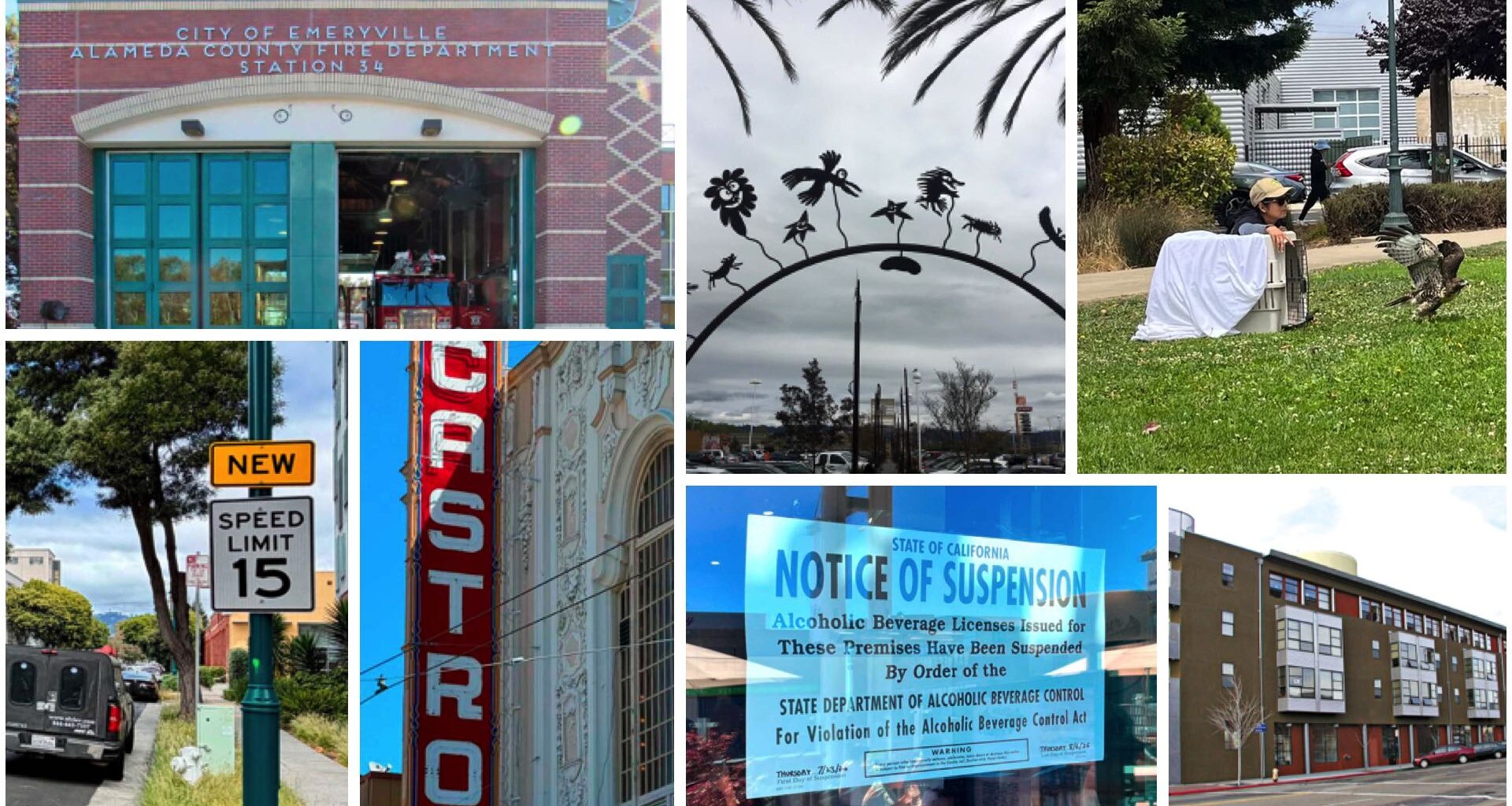 Aug 1-15, 2026 Emeryville Newswire: Injured Hawk Released, 15 MPH Speed Limits, Castro Theatre Lawsuit & Fire Truck Antitrust Suit • The E'ville Eye News