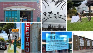 Aug 1-15, 2026 Emeryville Newswire: Injured Hawk Released, 15 MPH Speed Limits, Castro Theatre Lawsuit & Fire Truck Antitrust Suit • The E'ville Eye News