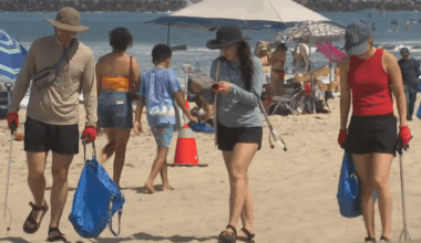 Volunteers remove more than 100 pounds of trash in Ocean Beach cleanup – NBC 7 San Diego