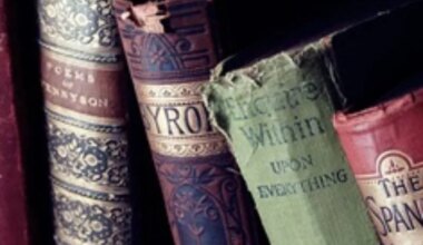 faded book spines leaning against one another