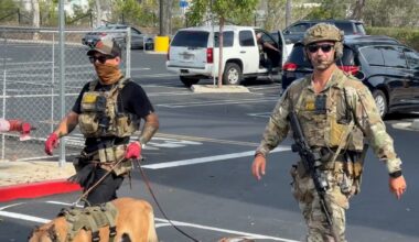 Some Encinitas residents upset after armed federal agents search shopping center – NBC 7 San Diego